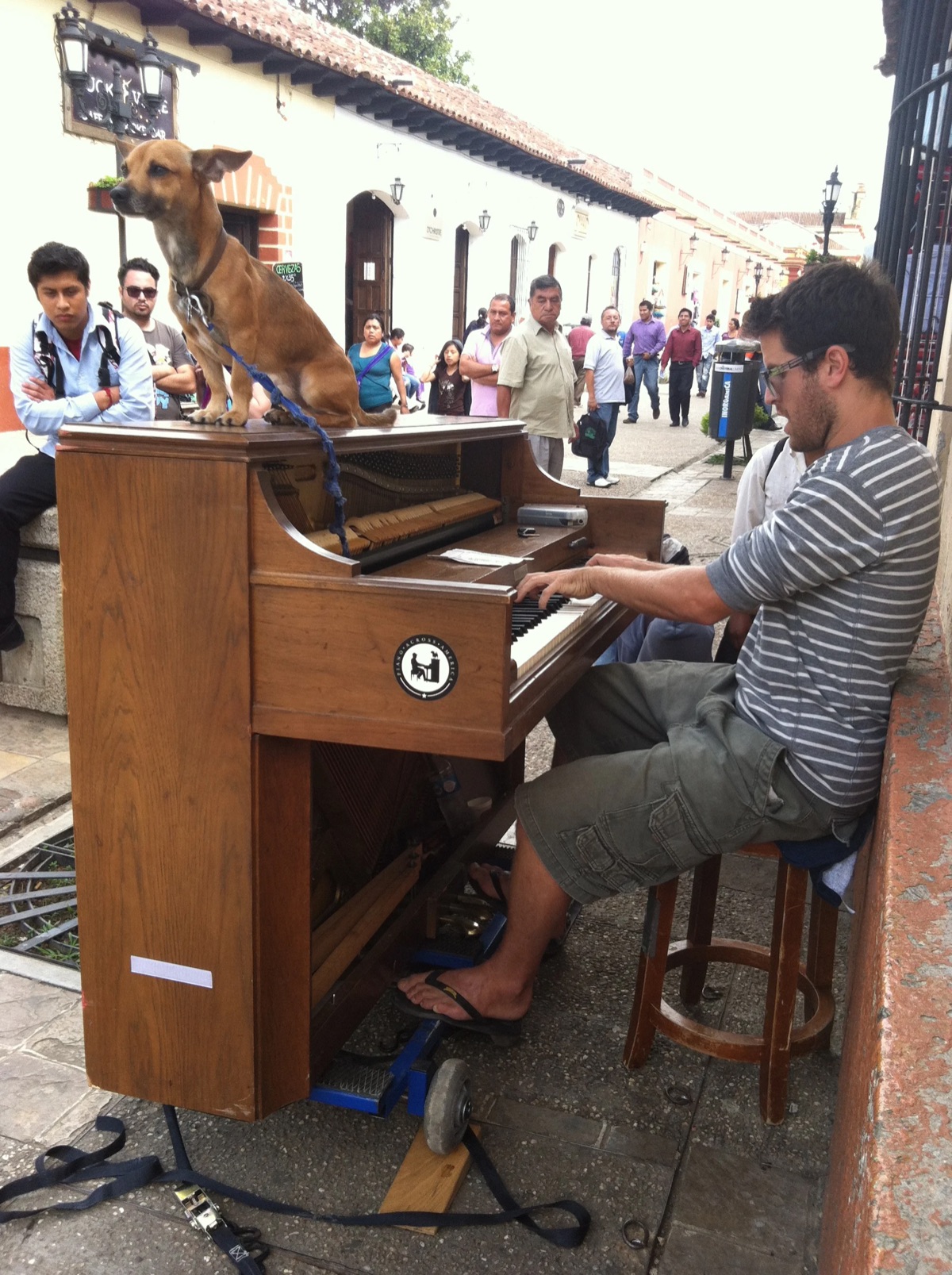 Playing on a street in San Cristóbal de las Casas, Mexico, with Brando on the piano
